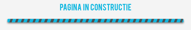Pagina in constructie